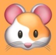 少女tv直播APP应用